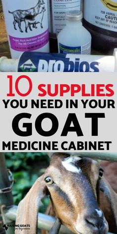 goats with the words 10 supplies you need in your goat medicine cabinet on it's side