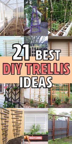 the best diy trellis ideas for small gardens and backyards are easy to make