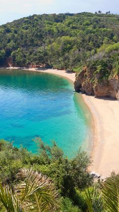 a sandy beach with clear blue water surrounded by trees