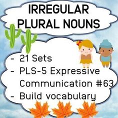 a poster with words and pictures on it that say irregular, singular, plural nouns