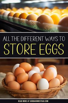 an image of eggs in a basket with the words, all the different ways to store eggs