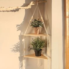 three shelves with plants on them hanging from the wall and one has a potted plant in it