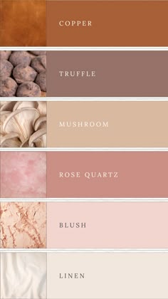 Neutral color palette for small business branding or weddings featuring skin tones, nude, blush colors, copper, chocolate brown, tan, dark blush pink, light blush, and cream. Blue Blush Color Palette, Desert Pantone Palette, Champagne And Pink Color Palette, Bedroom Aesthetic Color Palettes, Colour Palette Inspiration Neutral, Earth Tones With Pink, Terracotta And Blush Pink, Neutral Tan Color Palette, Feminine Fall Color Palette