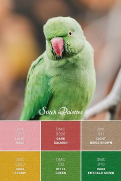 a green parrot sitting on top of a tree branch next to color swatches in different colors