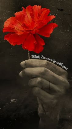 a person holding a red flower in their hand with the words what the only thing written on it