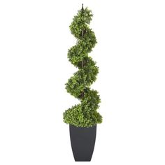 a tall potted plant is shown in the shape of a spirally shaped tree