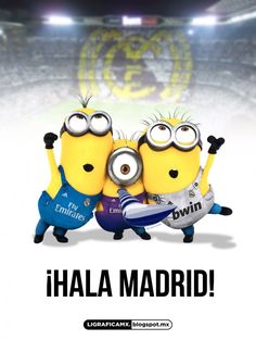 Minions hinchas del Real Madrid #realmadrid Real Madrid Soccer, Real Madrid Wallpapers, Madrid Wallpaper, Real Madrid Football, Best Football Team, Soccer Quotes, Football Lovers