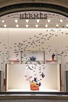 a window display with birds flying in the air and on it's front wall