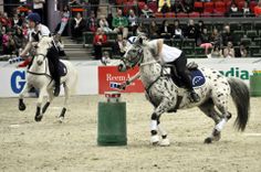 two people riding horses in an arena with spectators