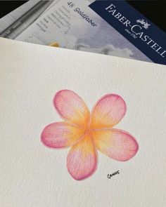 a drawing of a pink flower on top of a piece of paper