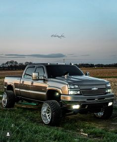 a silver truck parked on top of a lush green field next to a cornfield