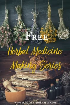 Herbology Herbal Medicine, Herbal Living, Herbalist Classes, Herbal Education, Magia Das Ervas, Herbal Tinctures