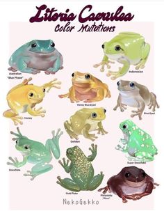 an image of different colored frogs on a white background with the caption's name below it