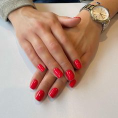 DND 562 Red Lake Dnd Red, Dnd Gel Polish, Red Lake, Gel Polish Colors, Body Skin Care Routine, True Red, Pale Skin, Gel Color, Nail Lacquer