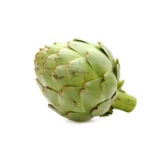 an artichoke is shown on a white background