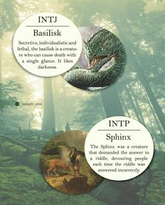 Dark Side Of Intj, Intj Boyfriend, Enfp Quotes, Personality Types Chart, Intj Problems, Personality Archetypes, Istp Personality