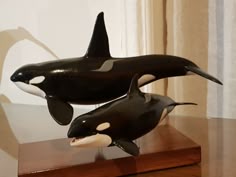 two black and white orca killer whales on wooden stand in front of window with curtains