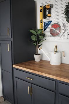 a kitchen counter with a potted plant and tools hanging on the wall behind it