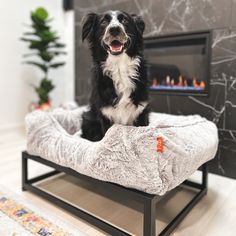 a black and white dog is sitting on a pet bed in front of a fireplace