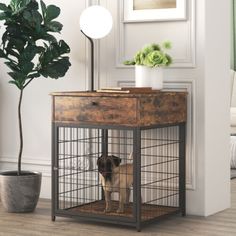 a small dog in a cage next to a potted plant and lamp on a table