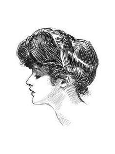 a drawing of a woman's head with her hair in a bun