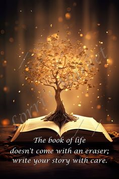 the book of life doesn't come with an eraser write your story with care