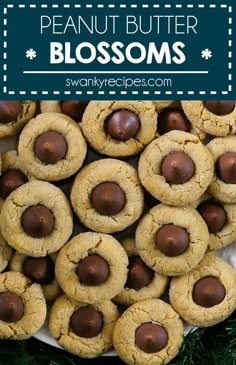 chocolate covered peanut butter blossoms on a plate with text overlay that reads, how to make peanut butter blossom cookies