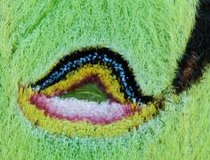 the eye of a stuffed animal with multicolored stripes