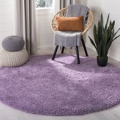 a living room with a purple rug and chair next to a potted cacti