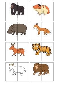 an animal matching game for children to learn how to match the animals with their names