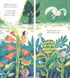 an image of two children's books about plants and birds in the water with caption