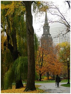 the boston public garden - boston massachusetts is featured in this postcard for an article