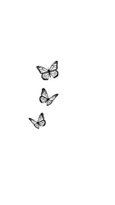 three butterflies flying in the air on a white background