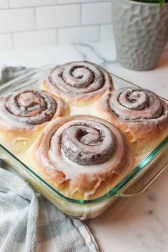 four cinnamon rolls in a glass baking dish on a marble countertop next to a potted plant