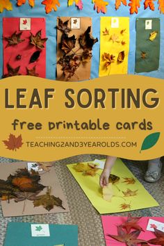 leaf sorting printable cards for kids to use in the fall and thanksgiving activities with leaves on them