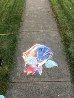 a colorful fish drawn on sidewalk next to grass