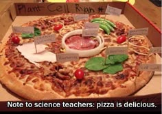 a pizza in a cardboard box with labels on it that say plant - cell ran