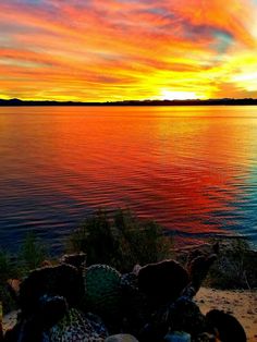 the sun is setting over water with rocks and plants