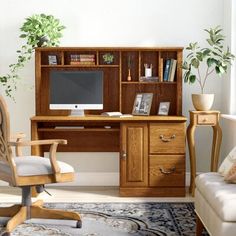 a computer desk and chair in a room with a rug, potted plant and bookshelf