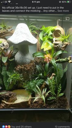 an aquarium filled with lots of plants and other things to see on the webpage