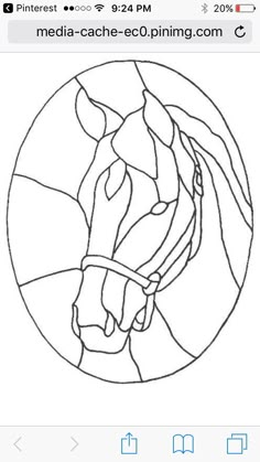 a horse's head is shown in the center of a circle with lines on it