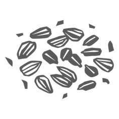 Seeds cut out botanical PNG Design Abstract Art Inspiration