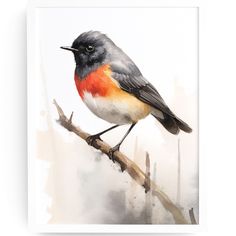 a watercolor painting of a bird sitting on a branch