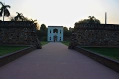 a walkway leading to a white building with palm trees on both sides and grass in the foreground