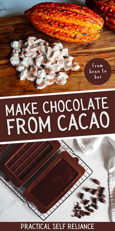 homemade chocolate bars from cacao beans Chocolate Bars Recipe, Chocolate From Scratch, Cacao Powder Recipe, Cacao Nibs Recipes, Cacao Pod, Bean To Bar Chocolate, Cacao Fruit, Cacao Recipes