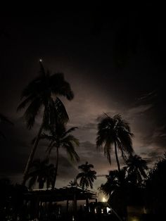 the sky is dark and cloudy with palm trees in front of it at night time