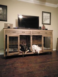 two dogs are sitting in their kennels on the floor next to a flat screen tv