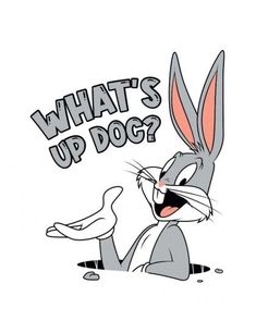 a cartoon rabbit with the words what's up dog?