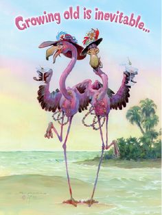 two pink flamingos are standing in the sand