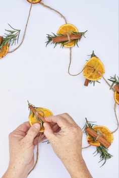 someone is making oranges with twine and rosemary on the top, as if they were cutting them